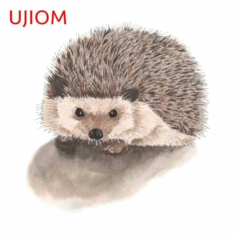 Ujama-engraçado hedgehog adesi - Baby Nursery Panelling avaliação e preço